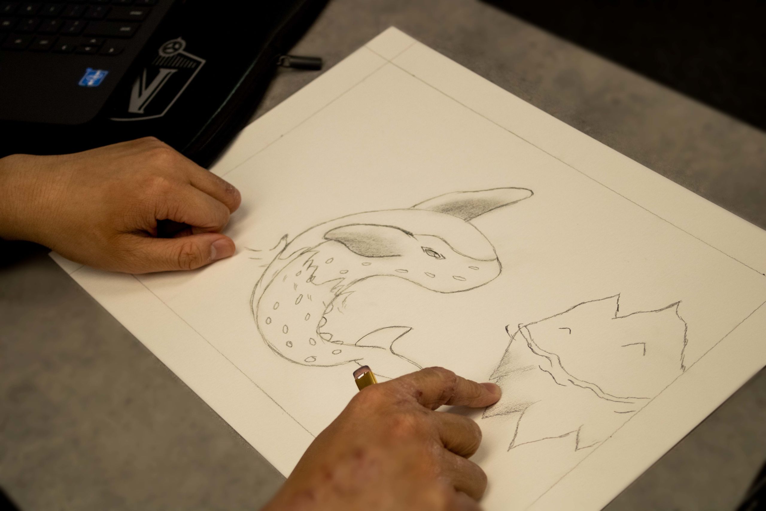 Colin draws one of his favorite subjects -- a sea creature -- during his Advanced Drawing & Design class at Muchin.