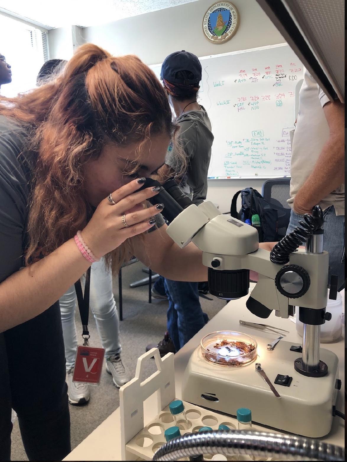 Harumi, a female student with brown/blonde hair is looking into a microscope. There are other students in the background.