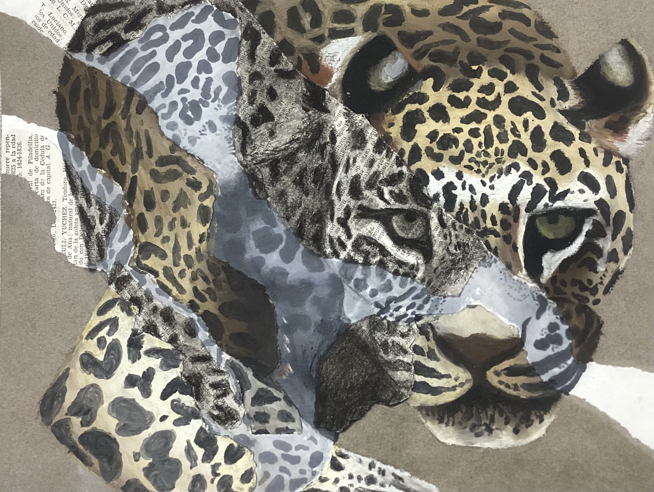 IMG_1077 – Rosa Spacucello A leopard prowls forwards, his eyes trained on the viewer. Parts of the leopard are drawn with colored oil pastels while other parts are drawn with black charcoal and grayscale markers. On the charcoal parts, you can see newspaper pieces underneath, glued to the canvas. It all gives the effect of a patchwork leopard.